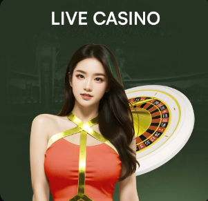 超级周末！成都五粮液文化体育中心今日中超联赛+陈粒演唱会双开